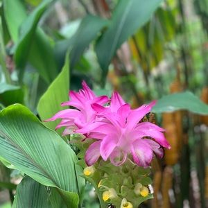 Meet your Posher, Mattias